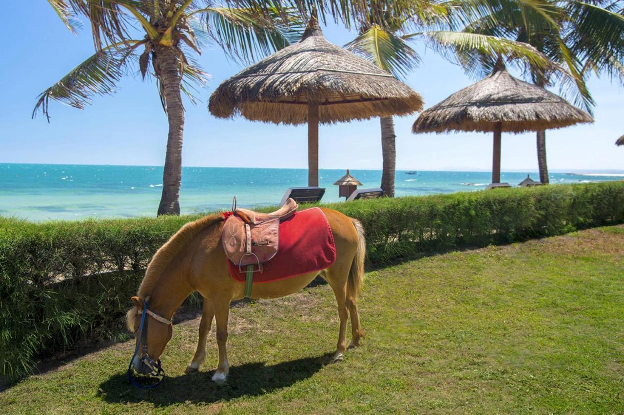 מואי נה Victoria Phan Thiet Beach Resort & Spa מראה חיצוני תמונה